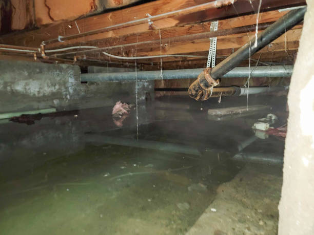 Best 24-hour water damage restoration  in Catalina, AZ
