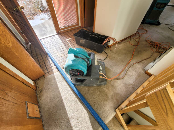 Best Basement water damage restoration  in Catalina, AZ