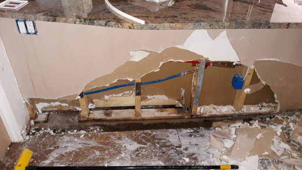 Best Water damage cleanup near me  in Catalina, AZ
