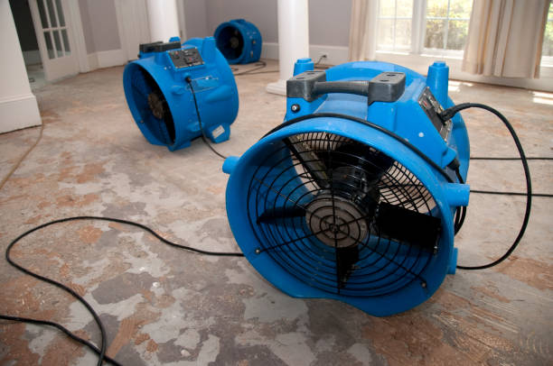 Best Carpet water damage restoration  in Catalina, AZ