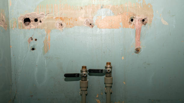 Best Ceiling water damage repair  in Catalina, AZ
