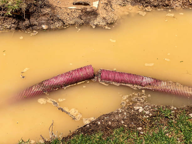 Best Water damage restoration company  in Catalina, AZ