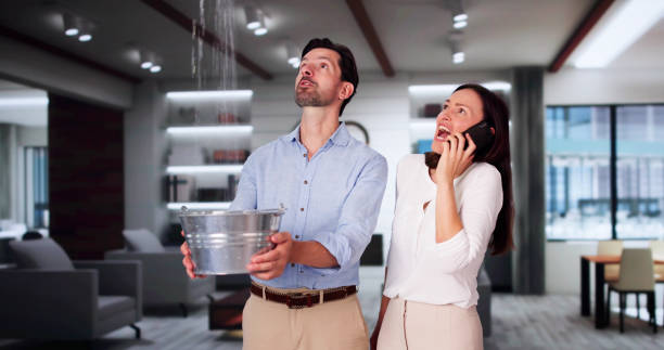 Best Water damage restoration near me  in Catalina, AZ